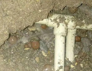 洛扎卫生间测漏