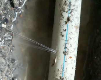 洛扎卫生间测漏水多少钱