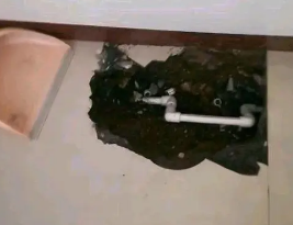 洛扎卫生间测漏水多少钱
